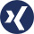 Xing-Icon